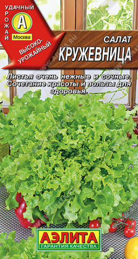 Кружевница листовой Ц(А)