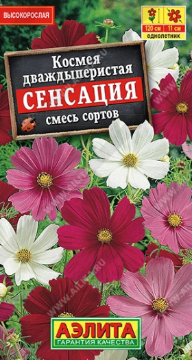 Сенсация смесь Ц(А) ()