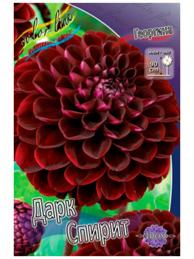 Дарк Спирит 1шт.