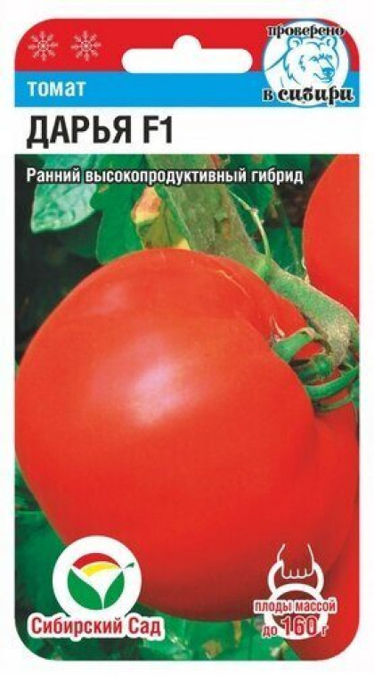 Дарья СС