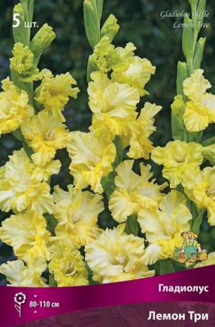 Лемон Три 12/14 5шт Поиск