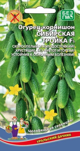 Сибирская тройка Ц(УД)