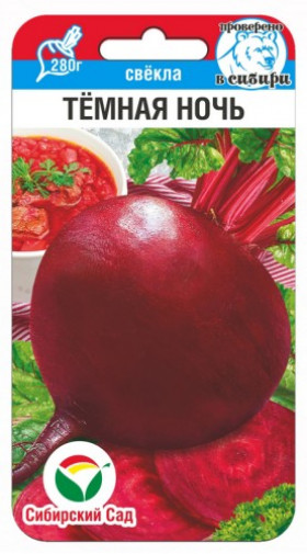 Темная ночь СС