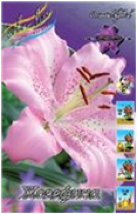 Жозефина вост. 5шт