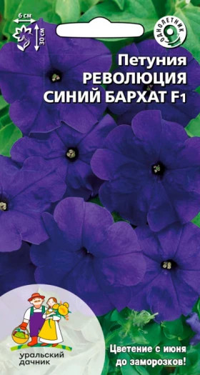 Революция синий бархат Ц(УД)