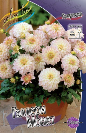 Гэллери Монет 1шт