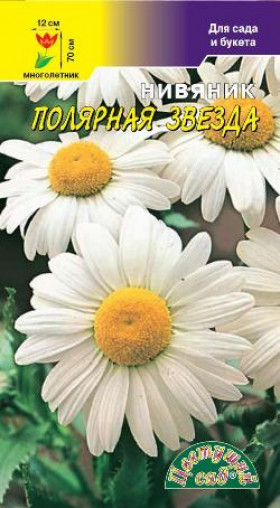 Полярная звезда/Цветущий Сад