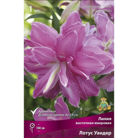Лотус Уандер (вост.махр) 5шт