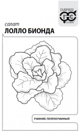 Лолло Бионда Б(Г)