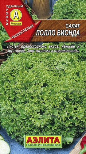 Лолло Бионда Ц(А)