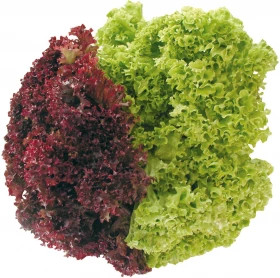 Лолло Росса 50гр лист. борд.\Гавриш