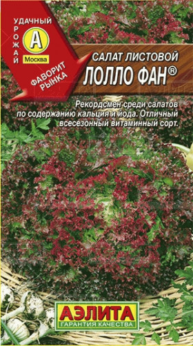 Лолло фан красн. лист Ц(А)