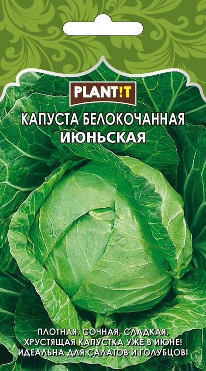 Капуста Июньская б/к Plantit
