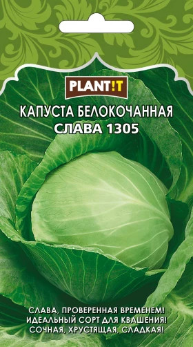 Капуста Слава 1305 б/к Plantit