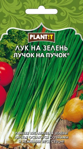 Лук на зелень Лучок на пучок Plantit