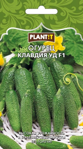 Огурец Клавдия Plantit