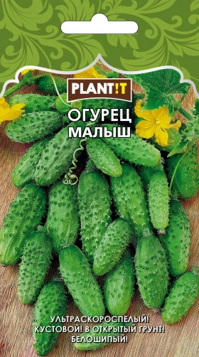 Огурец Малыш Plantit