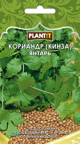 Кориандр Янтарь Plantit
