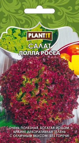 Салат Лолла Росса Plantit
