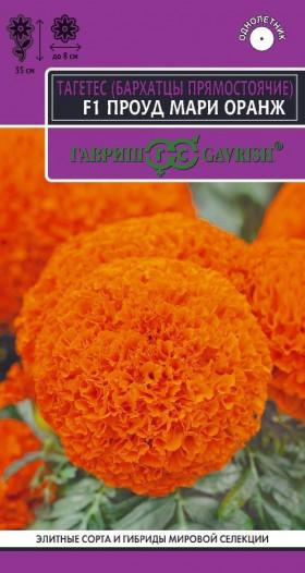 Проуд мари оранж F1 прямостоячие Ц(Г)