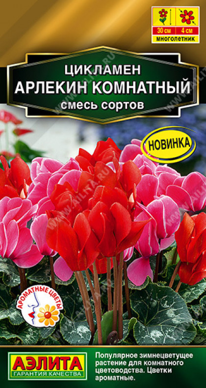 Арлекин комнатный смесь Ц(А)