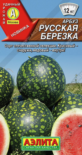 Русская березка Ц(А)