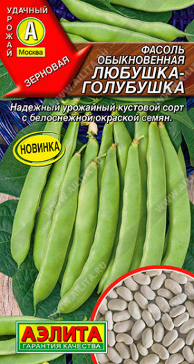 Любушка-голубушка обыкновенная Ц(А)