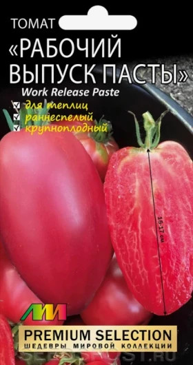 Рабочий выпуск пасты /Мязина
