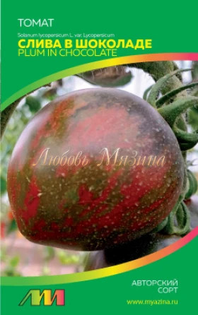 Слива в шоколаде /Мязина