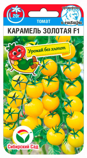 Черри Карамель золотая 15шт СС