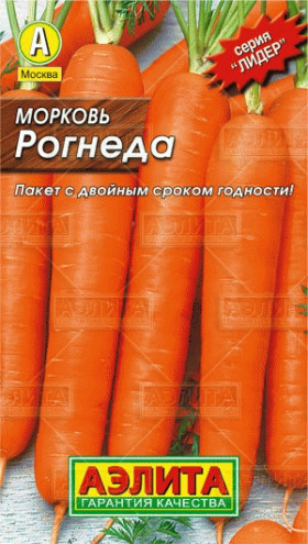 Рогнеда Лидер