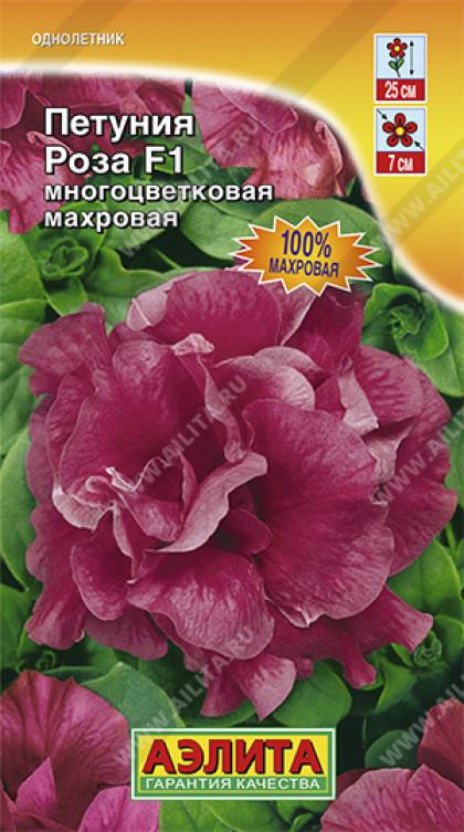 Роза махровая многоцветковая Ц(А)