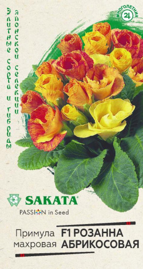Розанна абрикосовая махровая Ц(Г)