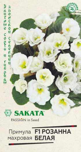 Розанна белая махровая Ц(Г)