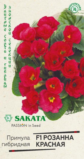 Розанна красная махровая Ц(Г)