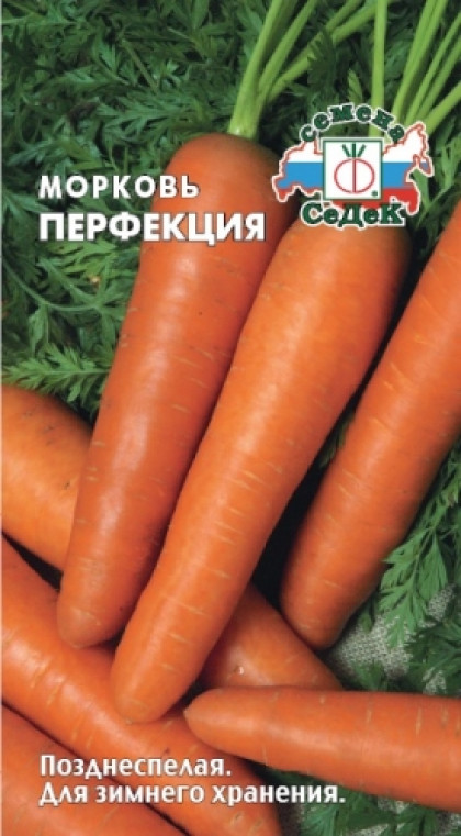 Перфекция Ц(С)