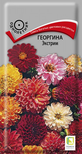 Экстрим Ц(Поиск)