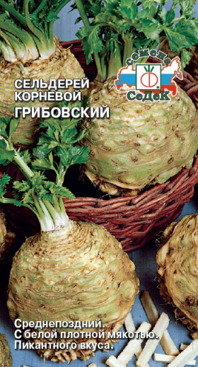 Грибовский корневой Ц(С)