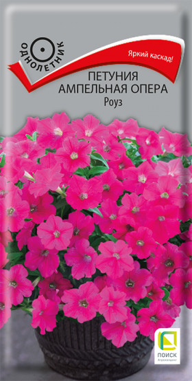 Опера Роуз 5шт Ц(Поиск)