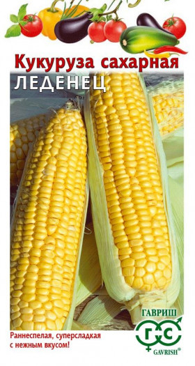 Леденец сахарная 10шт Ц(Г)