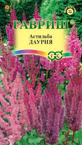 Даурия китайская Ц(Г)