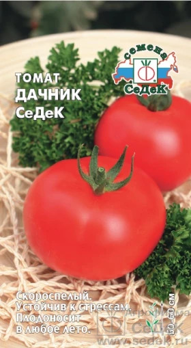 Дачник СеДеК Ц(С)