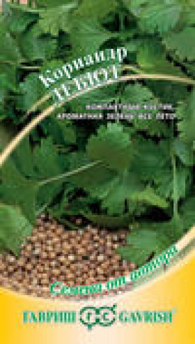 Дебют 2гр. Ц(Г)