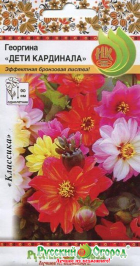 Дети Кардинала Ц(Н)