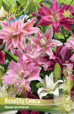 Roselily смесь (вост.махр) 3шт