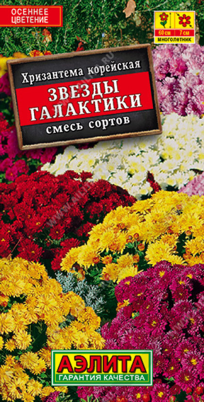 Звезды Галактики Ц(А)