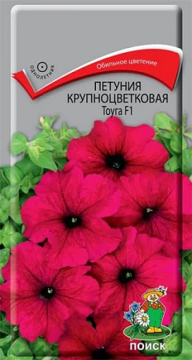 Тоуга крупноцв. низкая Ц(Г)