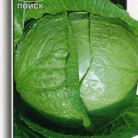 Трансфер 0,2г Б(Поиск)