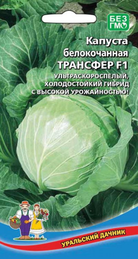 Трансфер ультроскоросп. Ц(УД)