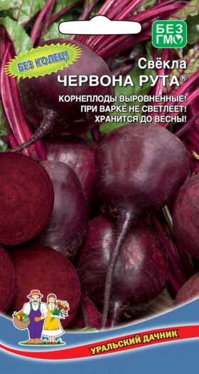 Червона Рута Ц(УД)